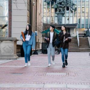 Cheapest MBA in Netherlands for international students studying at a Dutch university campus